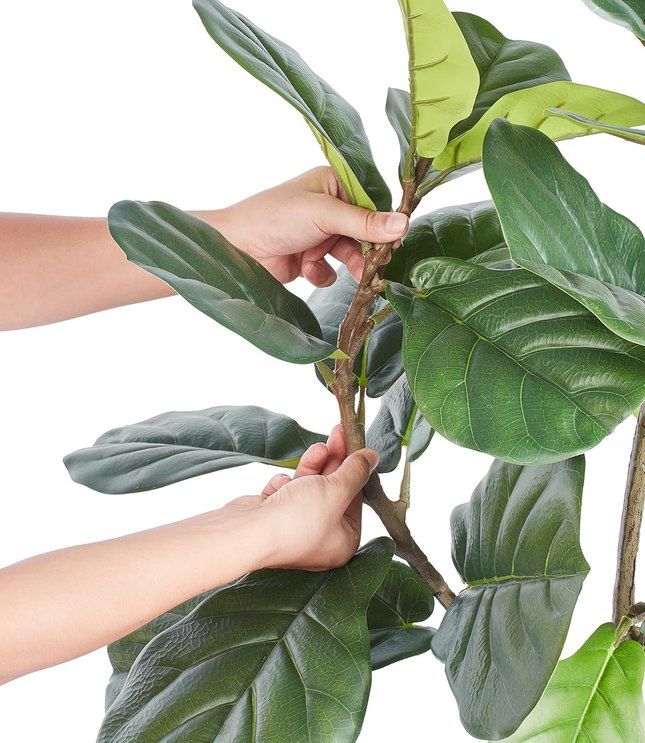 🍃 VEVOR künstliche Geigenfeige mit 155,6cm Höhe für 27,16€ (statt 51€) 🍃 VEVOR künstliche Geigenfeige mit 155,6cm Höhe für 27,16€ (statt 51€)