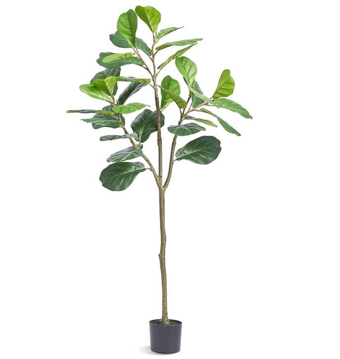 🍃 VEVOR künstliche Geigenfeige mit 155,6cm Höhe für 27,16€ (statt 51€)