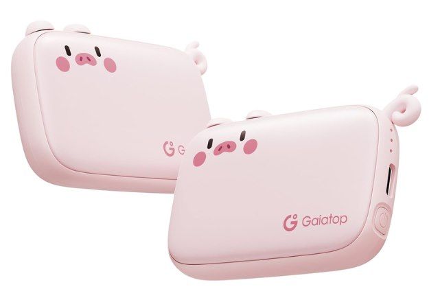 🥶 2x Gaiatop Handwärmer wiederaufladbar als Schwein für 10,99€ (statt 14€)