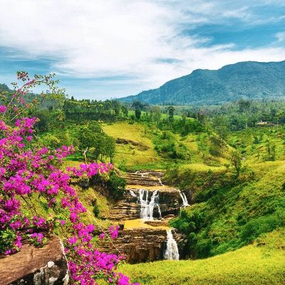 🐘💨 16-tägige Sri Lanka ☀️ Rundreise inkl. 🏖️ Badeurlaub & HP ab €1.699 p.P. (statt €2.199)