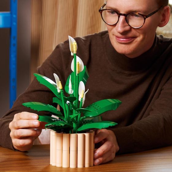 đŒ LEGO 11504 Botanicals Friedenslilie fĂŒr 33,99⏠(statt 41âŹ) đŒ LEGO 11504 Botanicals Friedenslilie fĂŒr 33,99⏠(statt 41âŹ)