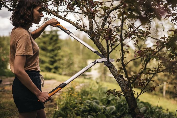 🪾 Fiskars PowerGear X Bypass Getriebeastschere, 80cm für 55,24€ (statt 66€)