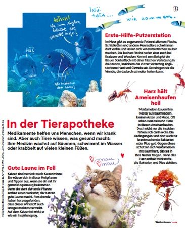 🏃 Neue Ausgabe: Forscher   Magazin für Neugierige: Beweg dich!