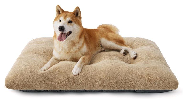 🐕 BEDSURE waschbares Hundebett (89 x 58 x 8cm) für 16,99€ (statt 29€)