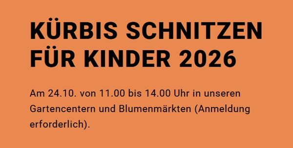 🎃 Gratis Kürbis schnitzen für Kinder am 24.10. bei Blumen Risse