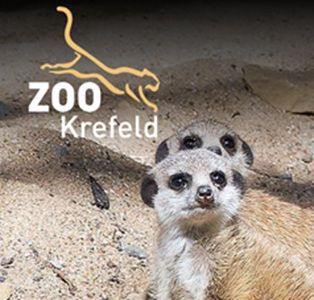 🦥  Zoo Krefeld: Freier Eintritt für Kinder & Jugendliche in den Herbstferien
