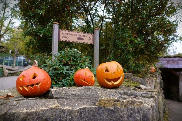 🥸 Kostenloser Eintritt für kostümierte Kinder zu Halloween in den Zoo Osnabrück 🥸 Kostenloser Eintritt für kostümierte Kinder zu Halloween in den Zoo Osnabrück