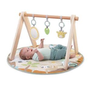 Ingenuity Baby Spielmatte mit Holzpielbogen für 19,99€ statt 49,99€