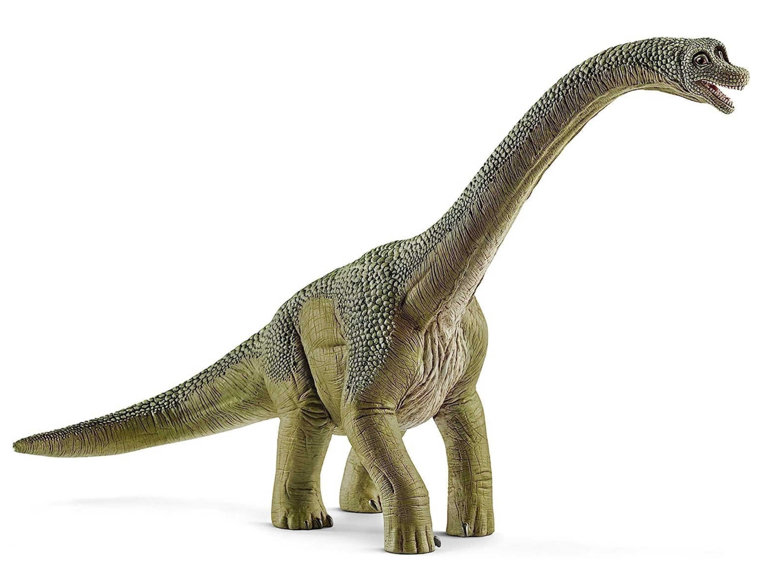 Schleich Brachiosaurus (14581) ab 13,49€ statt 17,48€