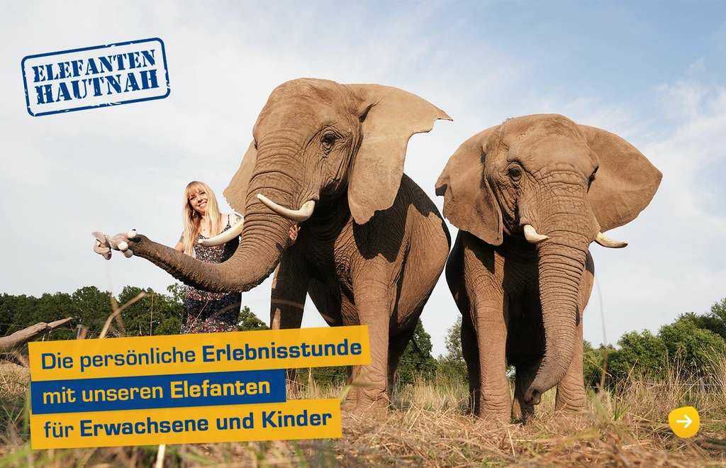 Elefantenhof Platschow (bei Parchim, M V), kostenloser Eintritt für alle Kinder am Kindertag KOSTENLOS statt 8€