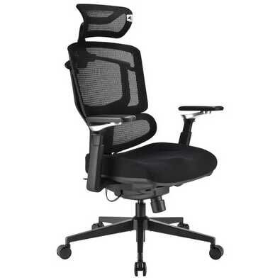 Sharkoon OfficePal C50 – Ergonomischer Bürostuhl mit Lendenstütze und Wippmechanik 174,99€ statt 272,42€