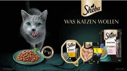 SHEBA®: 5€ Cashback sichern! € 5,00 Cashback SHEBA®: 5€ Cashback sichern! € 5,00 Cashback