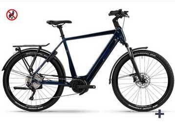 Green’s Richmond F625 High | Trekking E Bike 1.439€ statt 1.848,90€