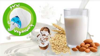 Pflanzliche Milch € 0,60 Cashback