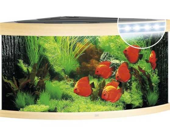 Aquarium JUWEL Trigon 350 mit LED Beleuchtung, Filter, Heizer ohne Unterschrank 809€ statt 999€