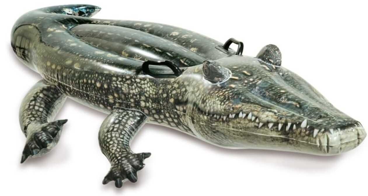 [Prime] Intex Aufblasbares Alligator, Vinyl   6,49€ statt 10,38€