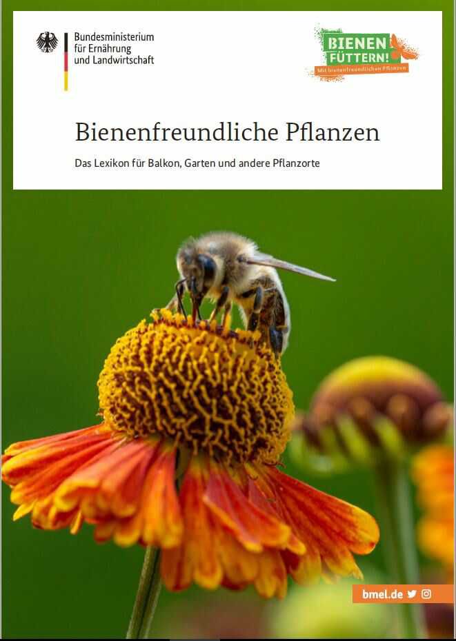 Gratis Bienenfreundliches Pflanzen – Lexikon (Download)