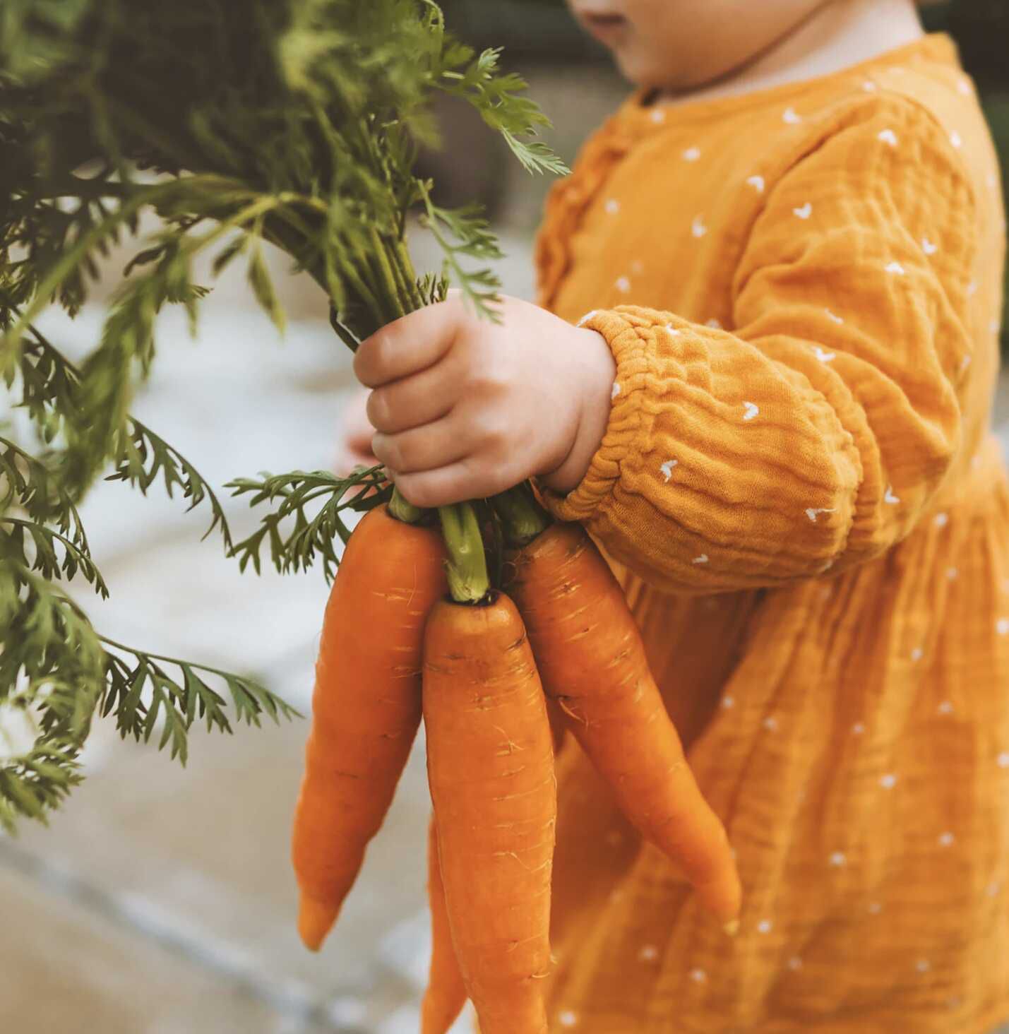 Kostenlose / Gratis Oster Schokoladengrüße für Kinder in der Zeit von 14 18.30 Uhr, 19.April 2025
