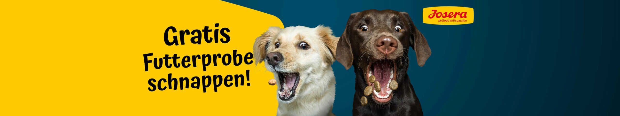 Kostenlose Josera Futterprobe für Hunde bestellen