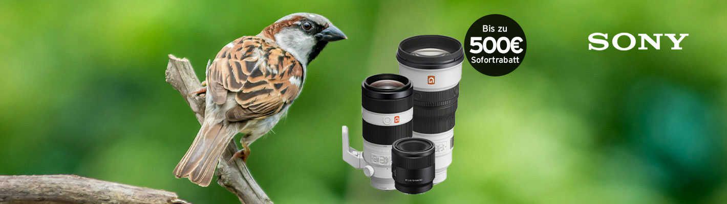Sony Wildlife Objektiv Aktion mit bis zu 500€ Sofortrabatt