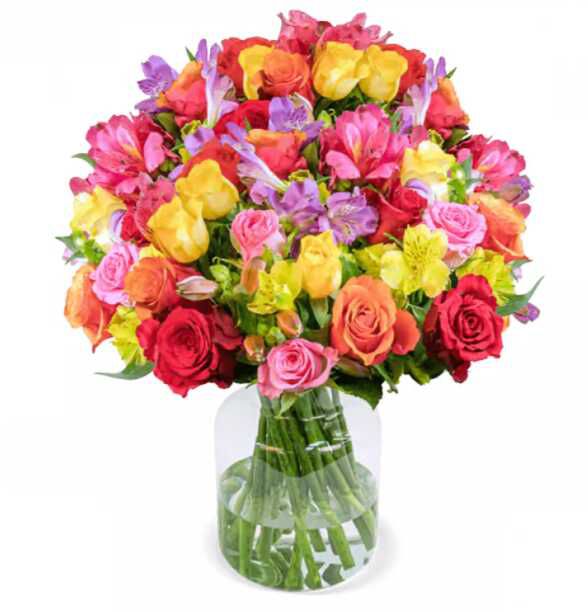 30 Stiele Rosenglück XXL mit bis zu 100 Blüten für 25,48€ (Vergleich: 33,73€)