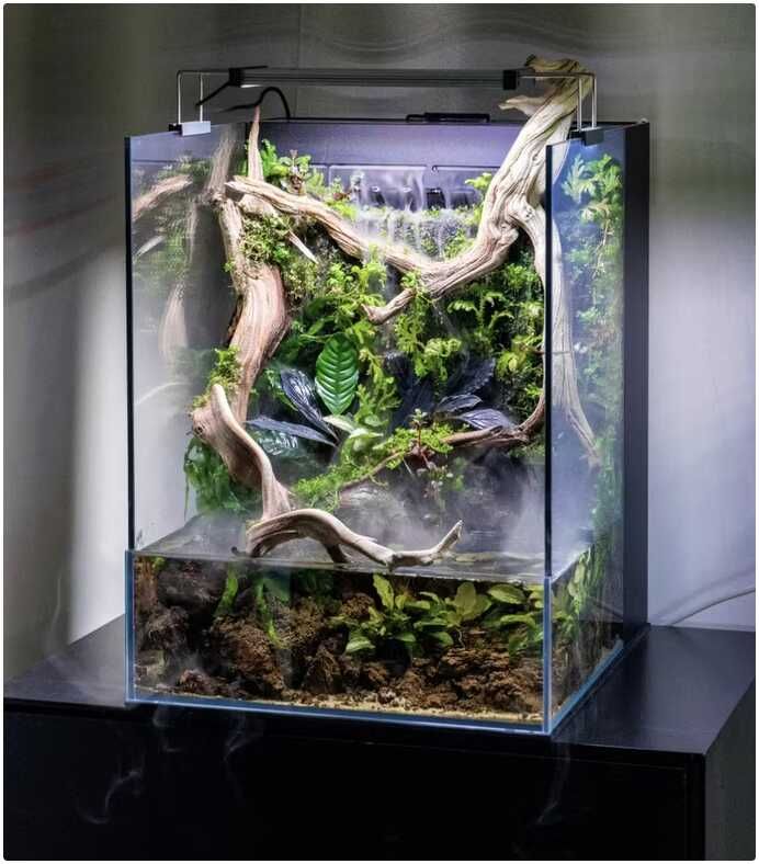 UNS Foresta 35e Paludarium bzw. Regenwald-Terrarium 199€ statt 299€ UNS Foresta 35e Paludarium bzw. Regenwald Terrarium 199€ statt 299€