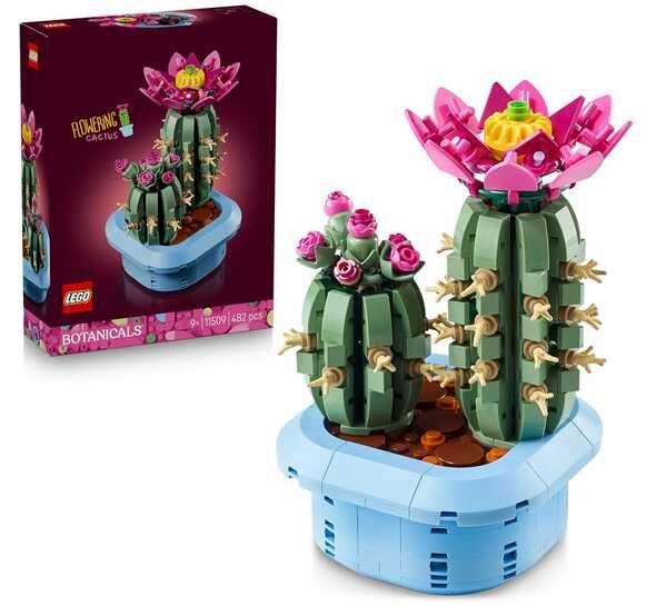 [Prime] LEGO Botanicals Blühender Kaktus   17,99€ statt 22,98€