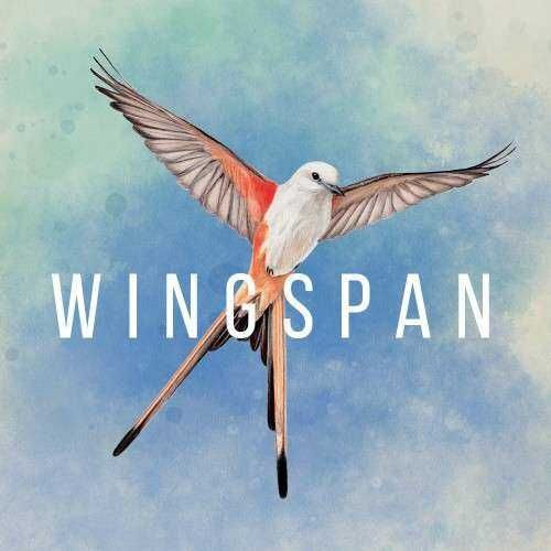 [Nintendo eShop] Wingspan (Flügelschlag) ~ 9,99€ | Nintendo Switch | Strategie   Brettspiel | BRA 5,11€