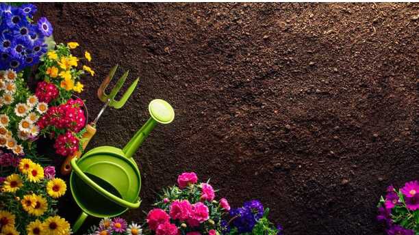 Marktguru: Blumenerde mit € 0,60 Cashback