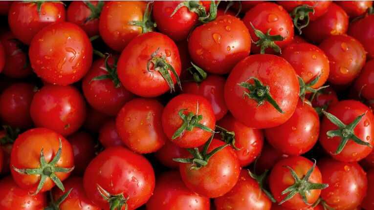 Frische Tomaten € 0,30 Cashback