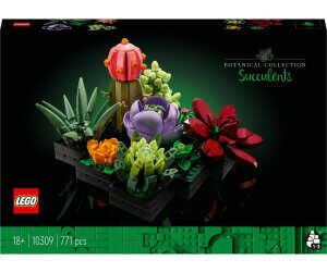 LEGO Botanicals Sukkulenten   Künstliche Blumen Set für Erwachsene   Blumenstrauß Bauset für 38,20€ PVG 52,27€