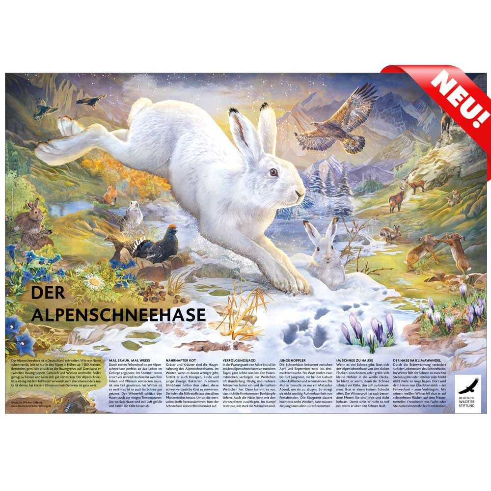 Dt. Wildtierstiftung: div. Poster u. Ausmalbilder gratis anfordern