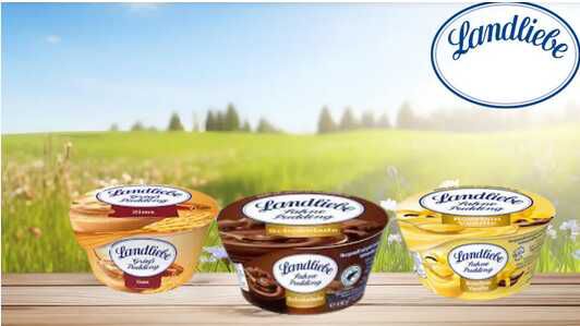 Landliebe Pudding € 0,50 Cashback