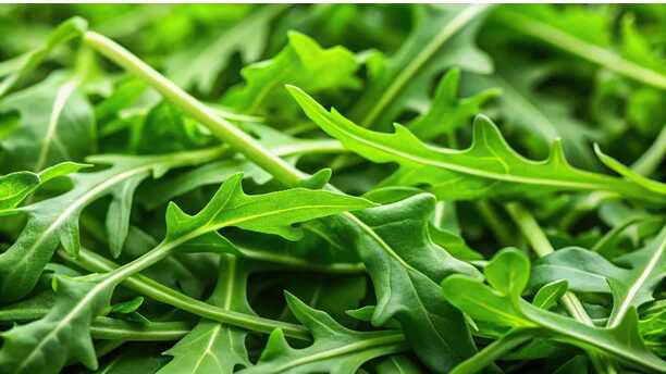 Rucola € 0,50 Cashback