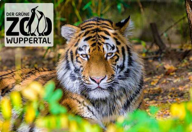 Eintrittskarte für den Grünen Zoo Wuppertal 13,50€ statt 20€