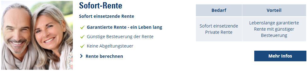 Rentenversicherung Berechnen Privat