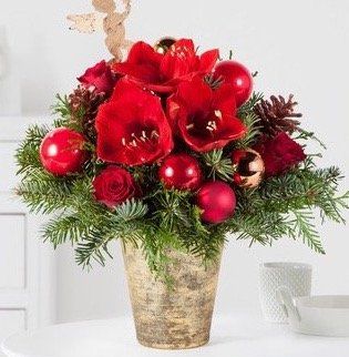 Blume2000 mit 30 Rabatt auf ausgewählte Weihnachtsblumen z.B