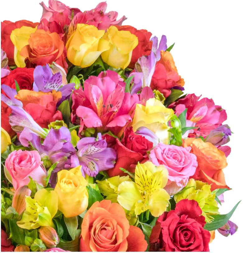 Rosenglück XXL Blumenstrauß mit bis 100 Blüten für 27,48€