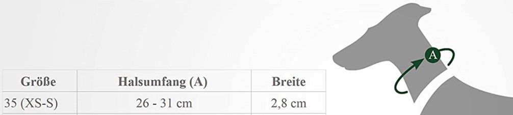 Braunes Leder-Halsband Für Hunde, Verziert Mit Strass-Steinen – Weich, Robust & Stylisch, Halsumfang 26-31 Cm