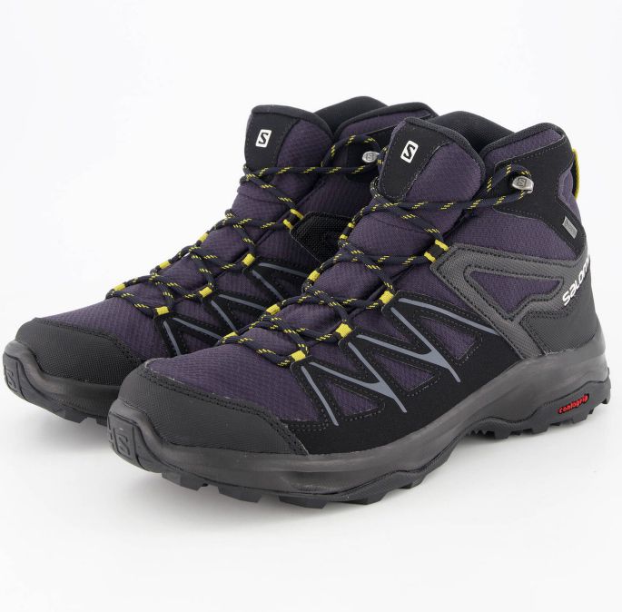 daintree mid gtx