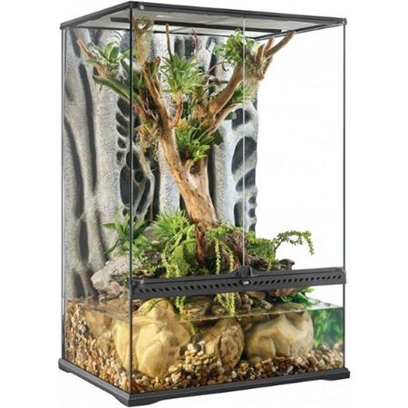20 Gallon Exo Terra Crested Gecko Kit Tall, Large, 45 X 45 X 60 Cm