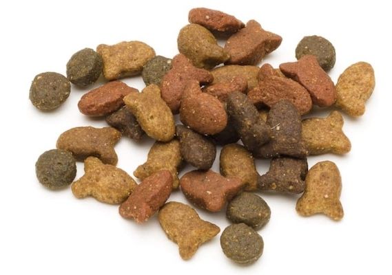 Forza10 Hundefutter Light Adult – Thunfisch & Reis Trockenfutter 12 Kg Für übergewichtige Hunde