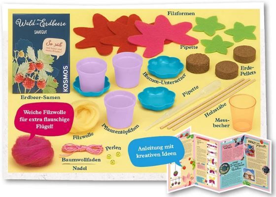 Kosmos Feen-Erdbeeren – Kit Di Coltivazione Fragole E Fai-da-Te Con Fatine, Esperimento Per Bambini Dai 6 Anni - 2