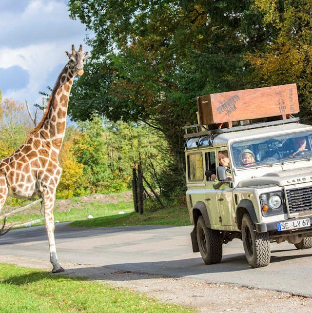 🦁 Am 1. + 2. Juni Freier Eintritt in den SerengetiPark mit BILDplus