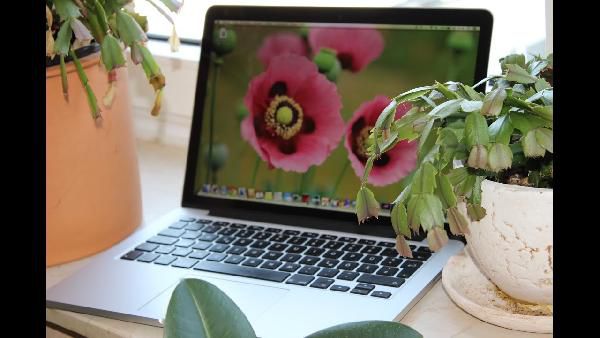 Apple MacBook Pro 13 Zoll Retina MGX82D/A für 1.199€ - 2,6 GHz, 8GB Ram, 256GB SSD Apple MacBook Pro 13 Zoll Retina MGX82D/A für 1.199€ 2,6 GHz, 8GB Ram, 256GB SSD