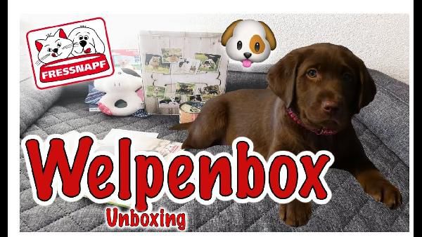 Beim Fressnapf Welpenclub Willkommensgeschenk abstauben Beim Fressnapf Welpenclub Willkommensgeschenk abstauben