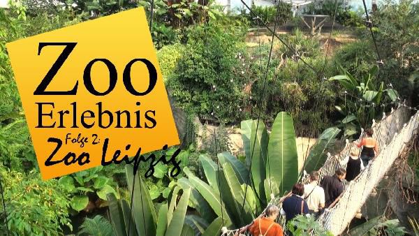 1 ÜN in Leipzig inkl. Zoobesuch & weiteren Extras ab 65€ p.P. 1 ÜN in Leipzig inkl. Zoobesuch & weiteren Extras ab 65€ p.P.