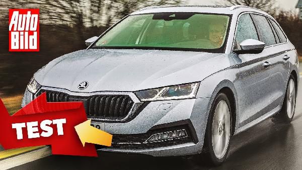Gewerbe: Skoda Octavia Combi iV Hybrid mit 150PS und z.B. HeadUp-Display für 143€ netto mtl. - LF 0,45 Gewerbe: Skoda Octavia Combi iV Hybrid mit 150PS und z.B. HeadUp Display für 143€ netto mtl. LF 0,45