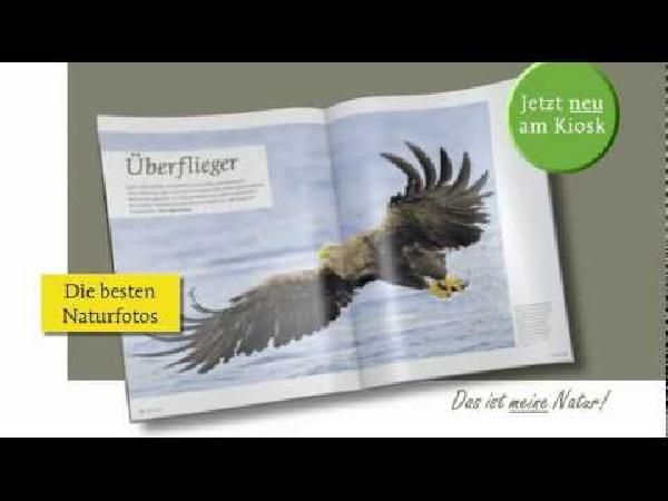 1 Jahr Natur Magazin für 72,35€ + 75€ Amazon Gutschein 1 Jahr Natur Magazin für 72,35€ + 75€ Amazon Gutschein