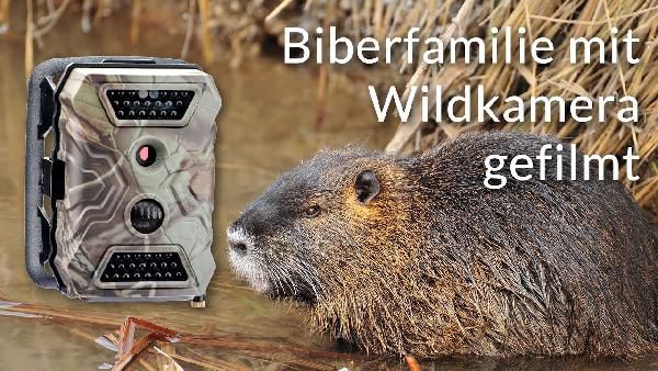 Wildkamera Premium Pack Wild-Vision Full HD 5.0 für 112,41€ (statt 139€) Wildkamera Premium Pack Wild Vision Full HD 5.0 für 112,41€ (statt 139€)